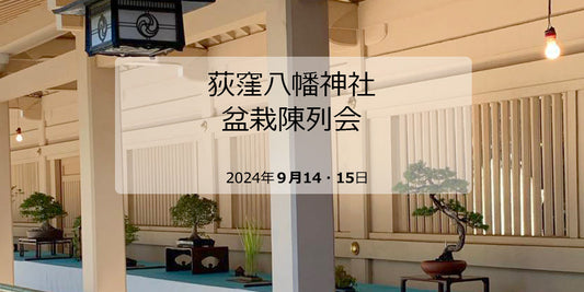 荻窪八幡神社の盆栽展示会9/14土・15日 9:00~20:00