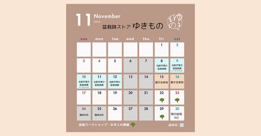2024年11月の店舗営業予定