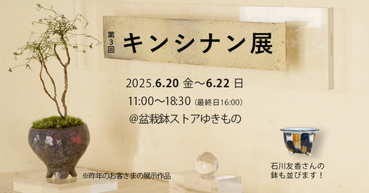 第3回キンシナン展 開催!
