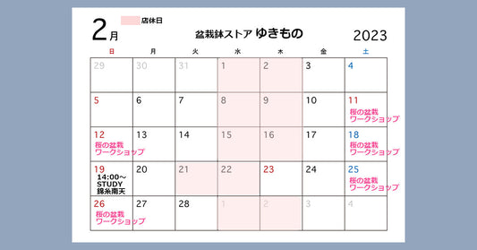 2023年2月 実店舗の予定