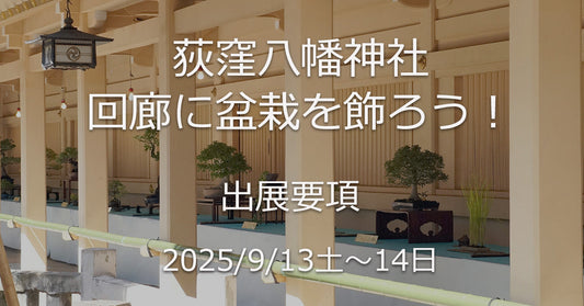 荻窪八幡神社回廊に盆栽を飾ろう!9/13・14