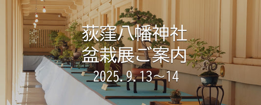荻窪八幡神社の盆栽展ご案内2025年9月13・14日