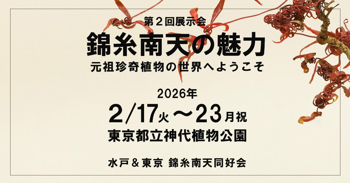 盆栽鉢ストアゆきもの｜ゆきものブログ｜錦糸南天の展示会を神代植物公園で