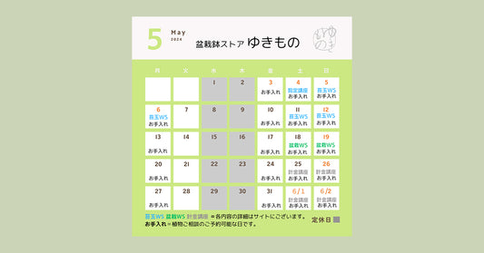 2024年5月の営業予定
