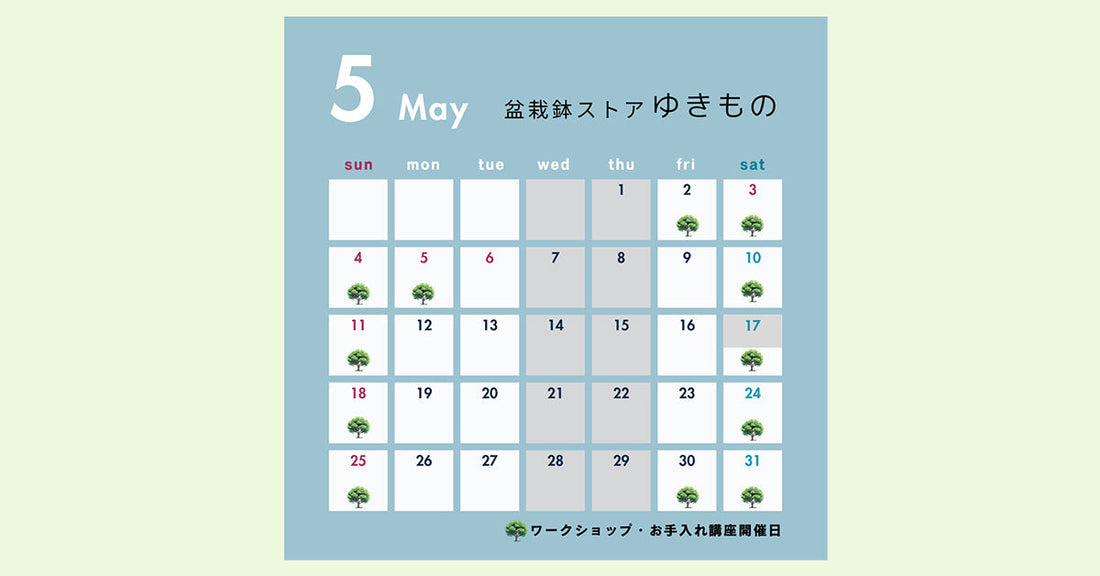 5月の店舗営業予定