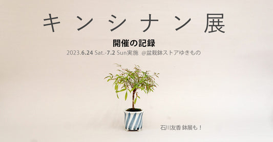 キンシナン展 開催の記録