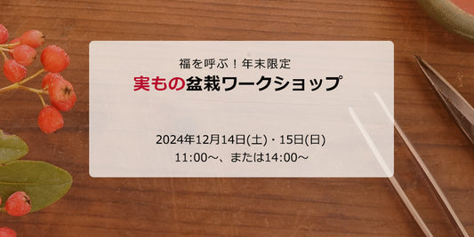 福を呼ぶ!実もの盆栽ワークショップ