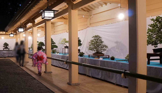 荻窪八幡神社の盆栽展示 2023年9月
