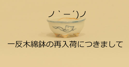 一反木綿鉢の再入荷予定(終了)