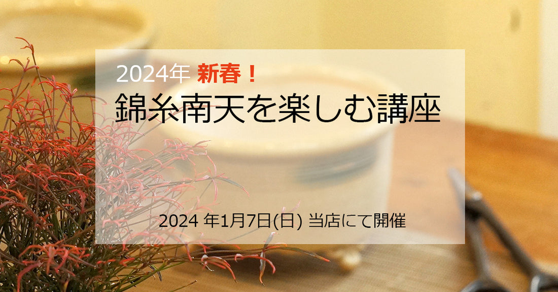 2024新春!錦糸南天を楽しむ講座