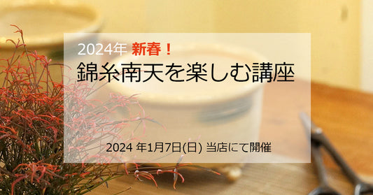 2024新春!錦糸南天を楽しむ講座