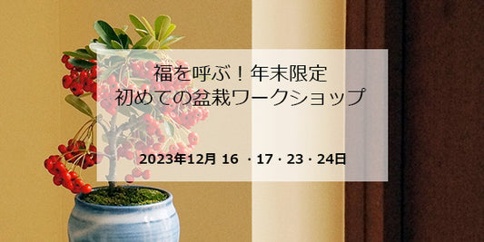 福を呼ぶ!年末限定「初めての盆栽ワークショップ」