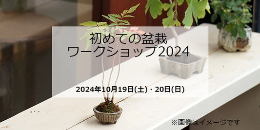 初めての盆栽ワークショップ2024(終了)