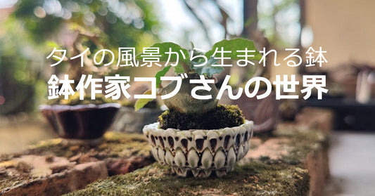 タイの風景から生まれる鉢――鉢作家コブさんの世界