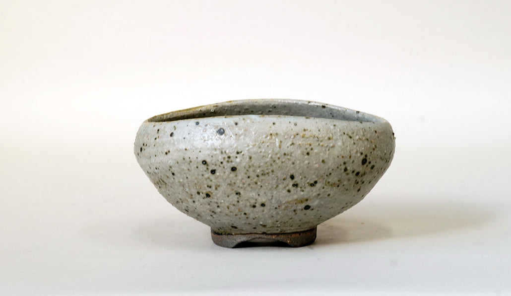 艸屋 黒のツブツブ扇型鉢 A012 11.2cm