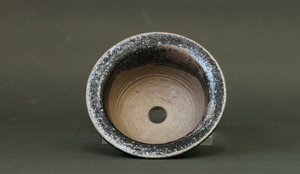 広縁丸鉢 ブラック 艸屋 12.2cm A038
