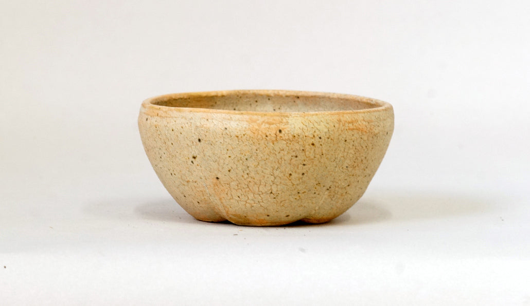 梅花型鉢 艸屋 11cm A072