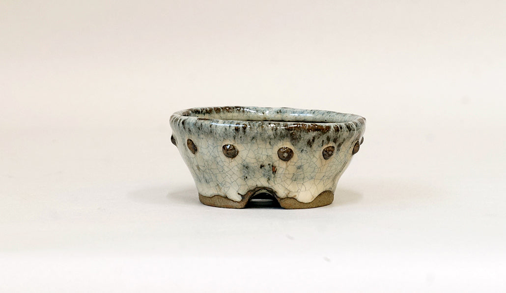 白釉鋲打ち丸鉢 越前文山 7.8cm B043