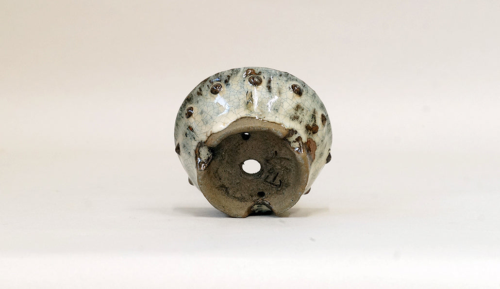 白釉鋲打ち丸鉢 越前文山 7.8cm B043