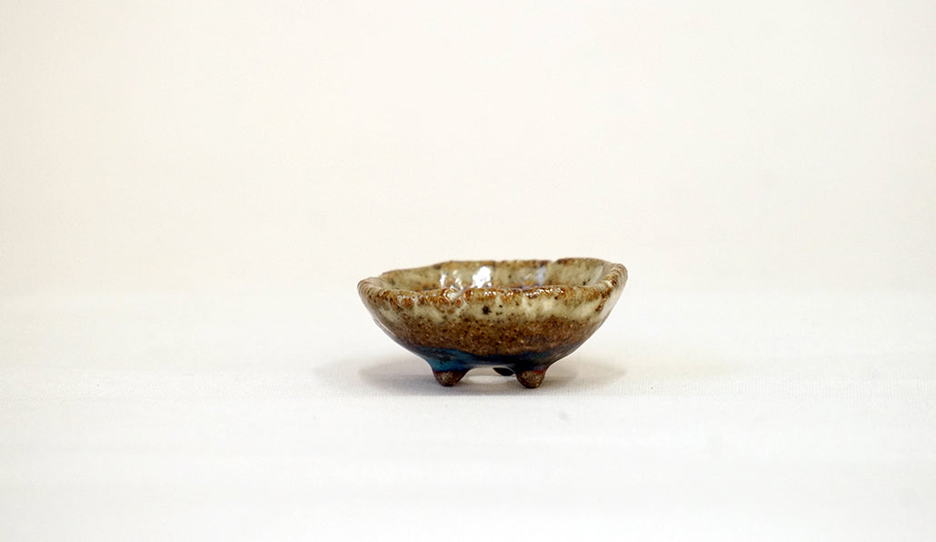 ハチドリ色の浅豆鉢 越前文山 4.3cm B065