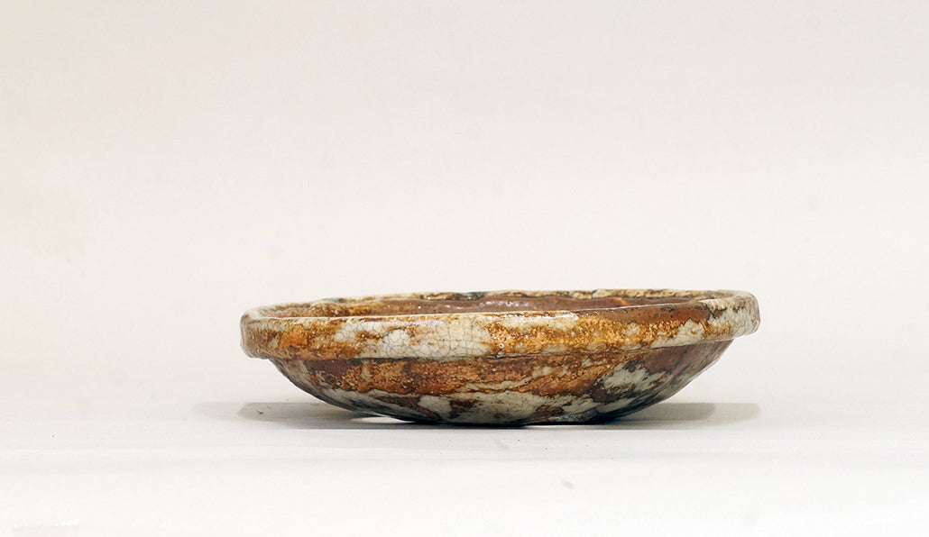 白とベージュの浅鉢 越前文山 16.3cm B067