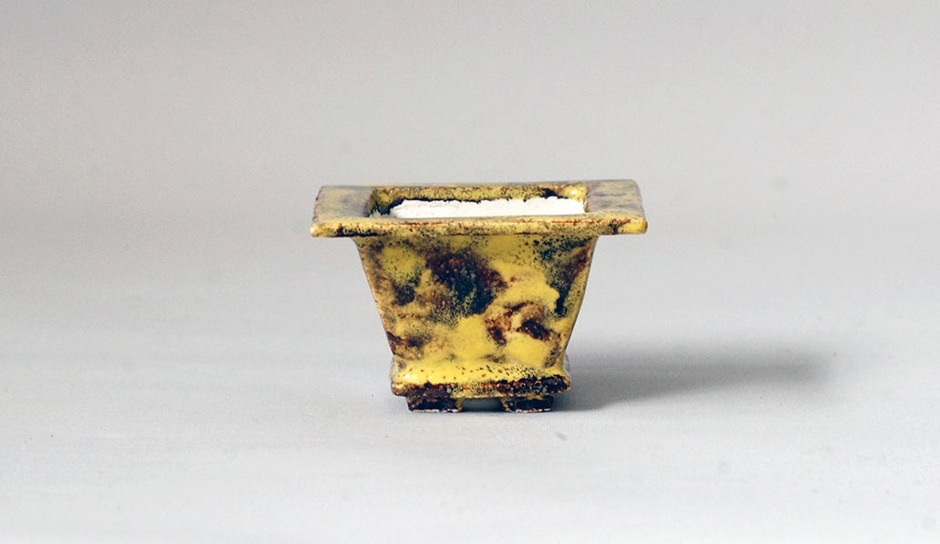 カリーナ イエローとベージュのフチ付き正方鉢 6.5cm