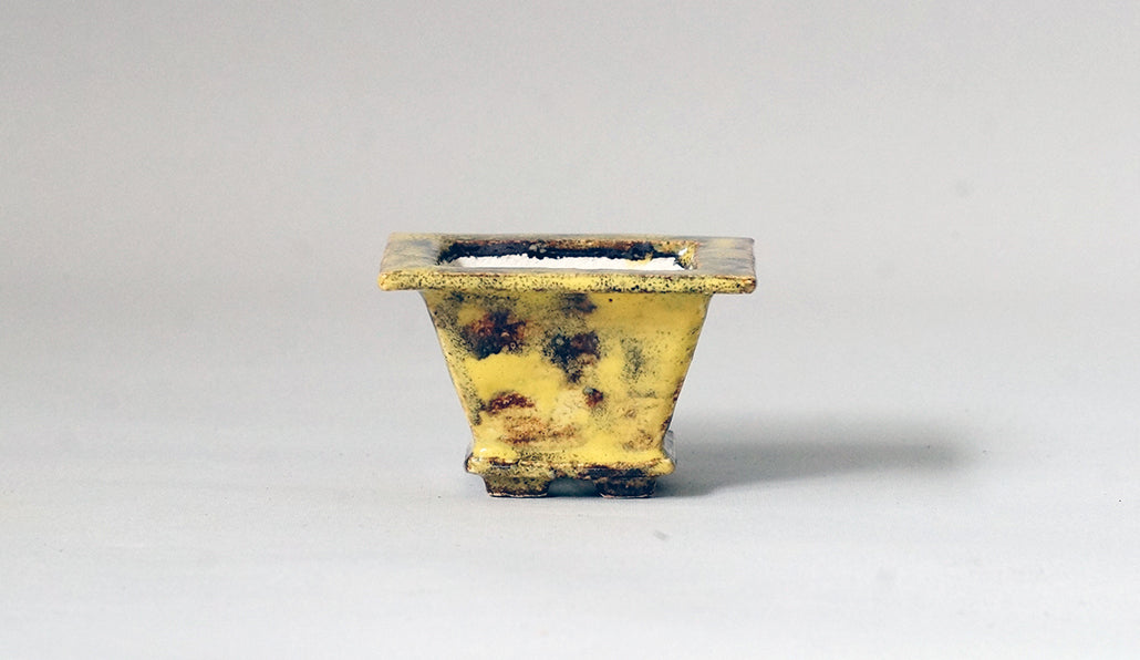 カリーナ イエローとベージュのフチ付き正方鉢 6.5cm