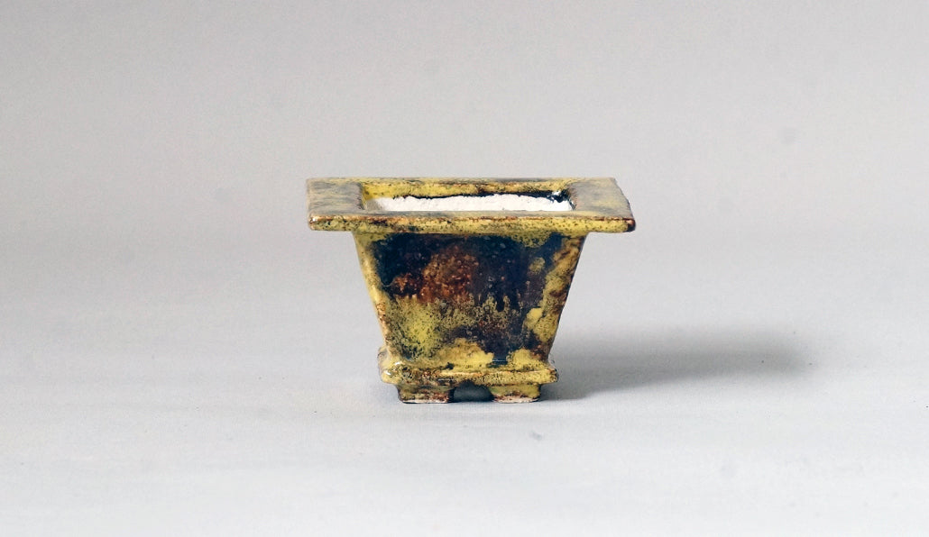 カリーナ イエローとベージュのフチ付き正方鉢 6.5cm