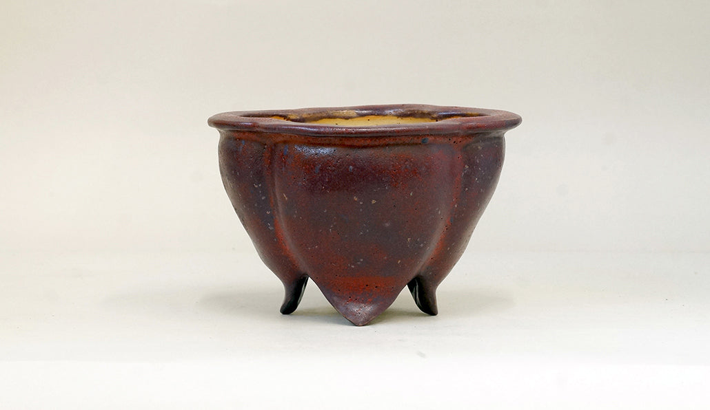 すもも色の鉢 カリーナ 13.5cm C23035