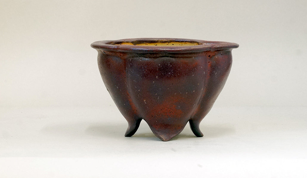 すもも色の鉢 カリーナ 13.5cm C23035