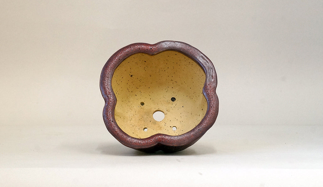 すもも色の鉢 カリーナ 13.5cm C23035