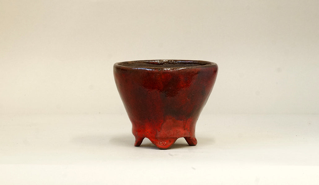 流れる赤の丸鉢 カリーナ 9.6cm C23046