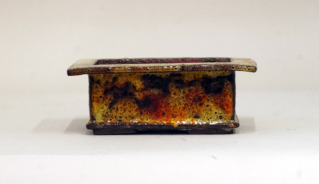 赤と黄の広縁長方鉢 カリーナ 14.2cm C24059