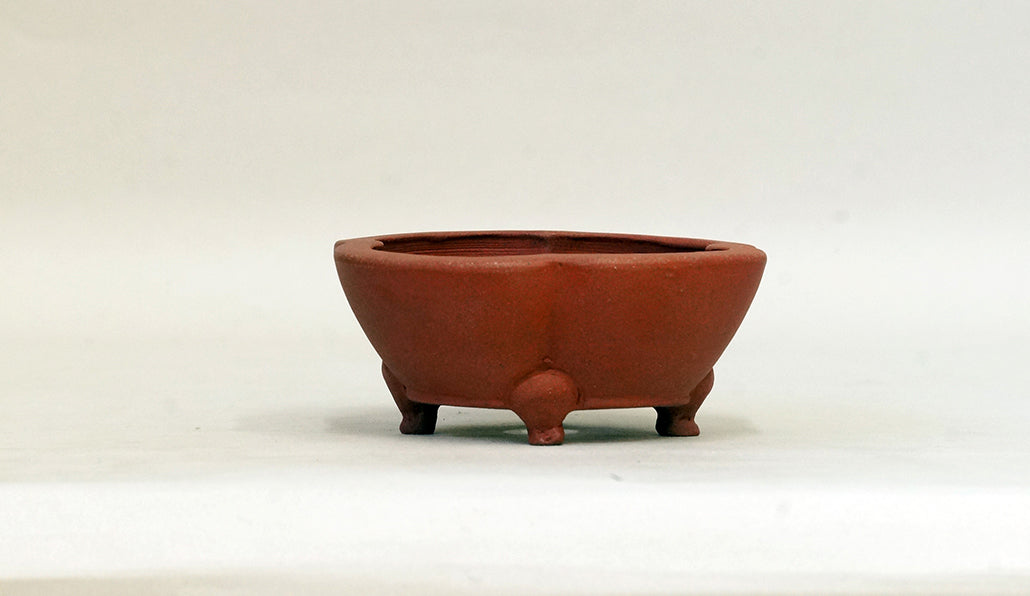 正方木瓜鉢 英明 9.3cm E595