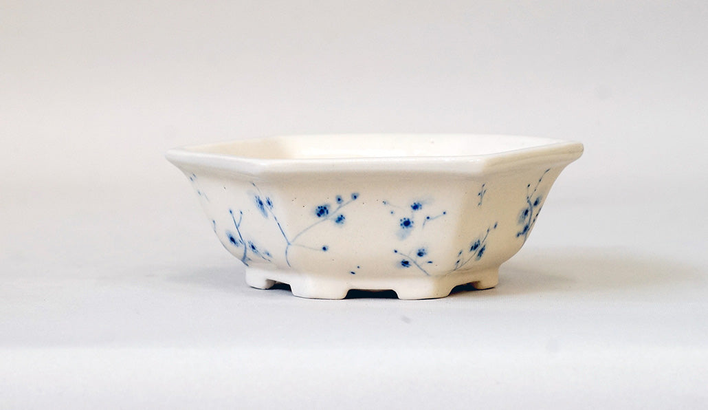 マルセイユの草花 染付六角鉢 ジル&ローレンス 11cm G014