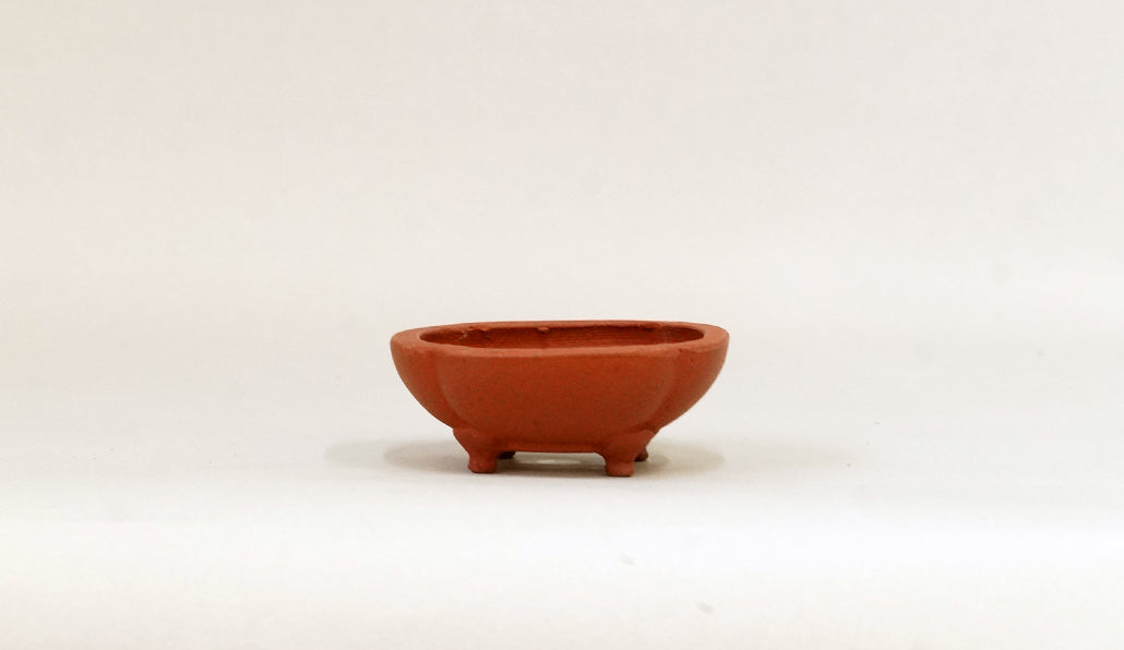 正方浅木瓜鉢 英明 7.9cm JE003