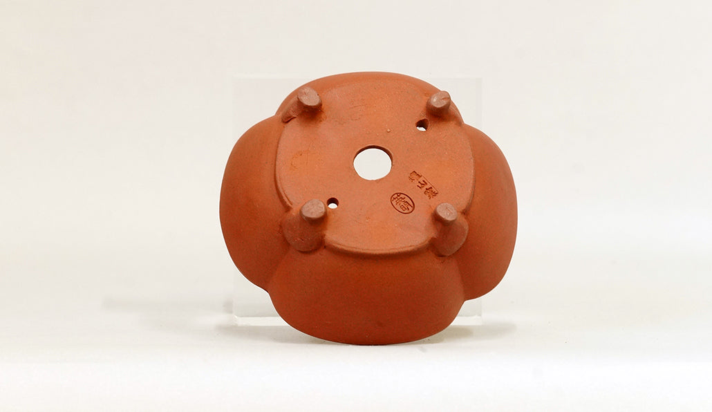 正方木瓜鉢 英明 11.7cm JE011