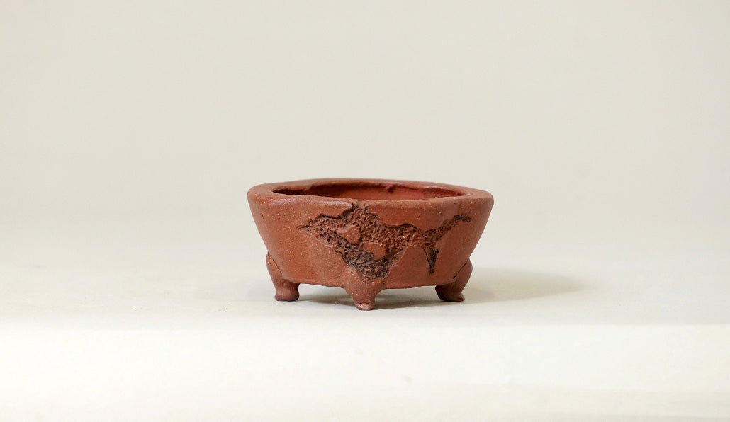 盆栽鉢ストアゆきもの｜盆栽鉢｜英明｜朱泥正方木瓜虫喰鉢 英明 5.8cm