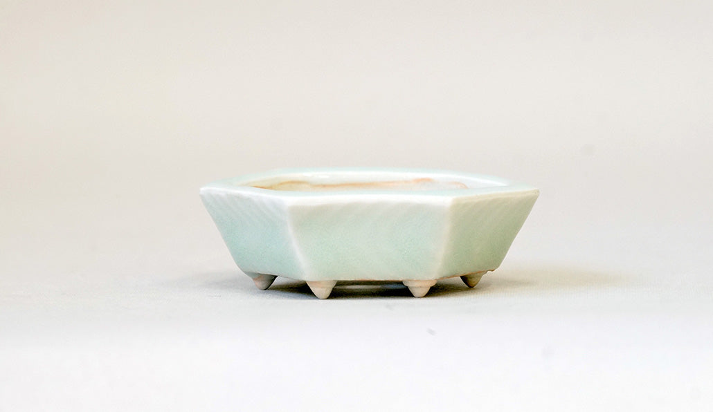 青白磁六角鉢 白波 月山 7cm JG141