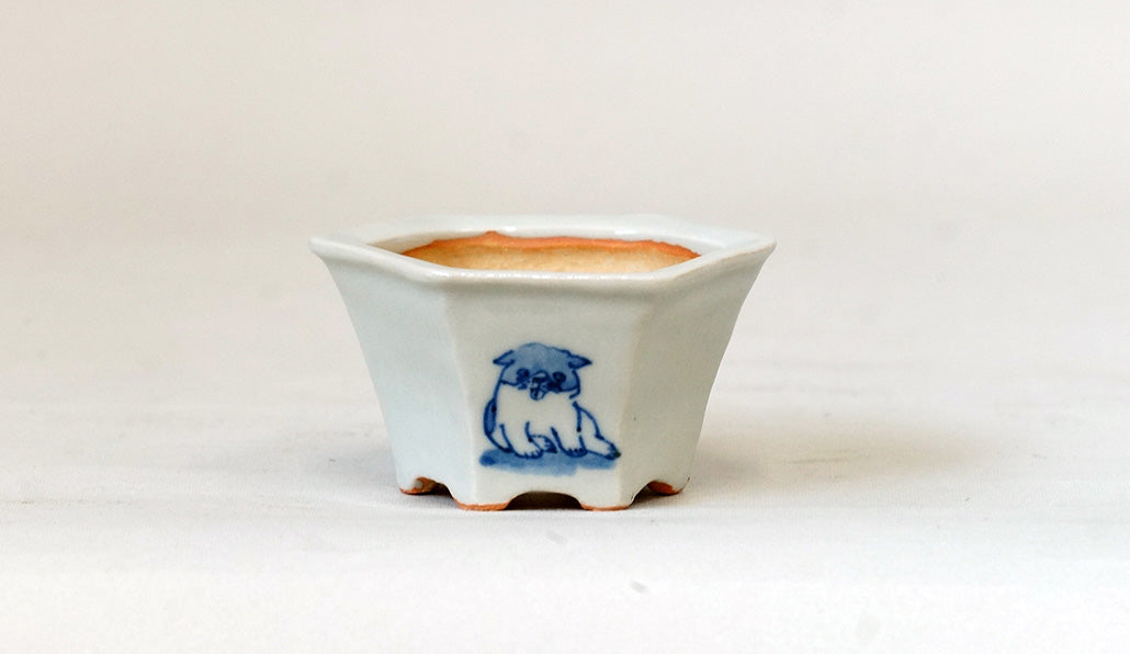 再入荷!三面子犬図六角鉢 月山 7cm JG311