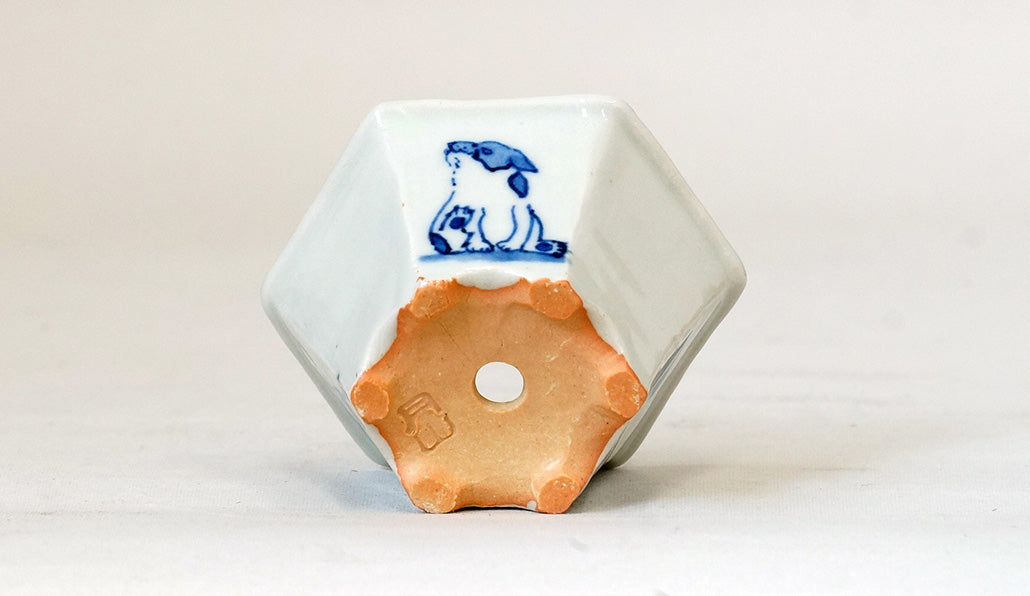 再入荷!三面子犬図六角鉢 月山 7cm JG311