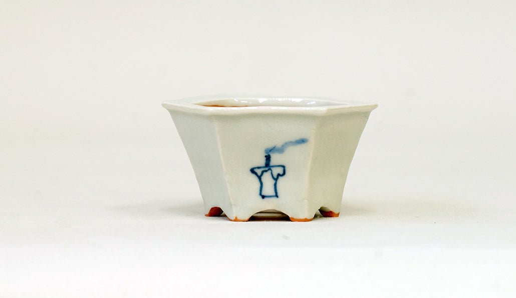 再入荷!提灯お化けの六角鉢 月山 7cm JG328