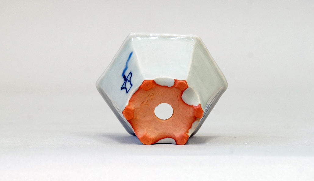 再入荷!提灯お化けの六角鉢 月山 7cm JG328