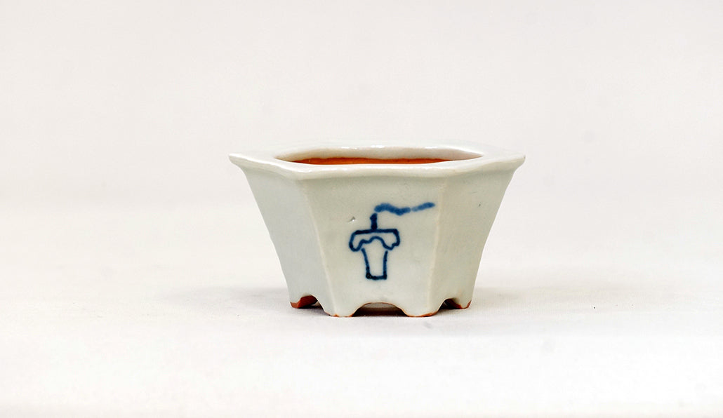 再入荷!提灯お化けの六角鉢 月山 7cm JG333