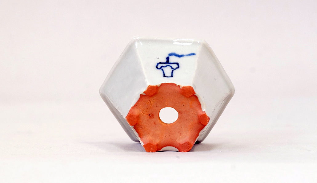再入荷!提灯お化けの六角鉢 月山 7cm JG333