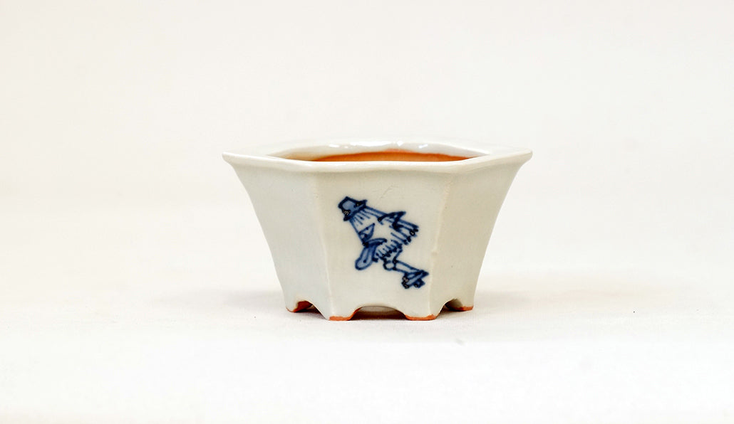 再入荷!傘お化けの六角鉢 月山 7cm JG335