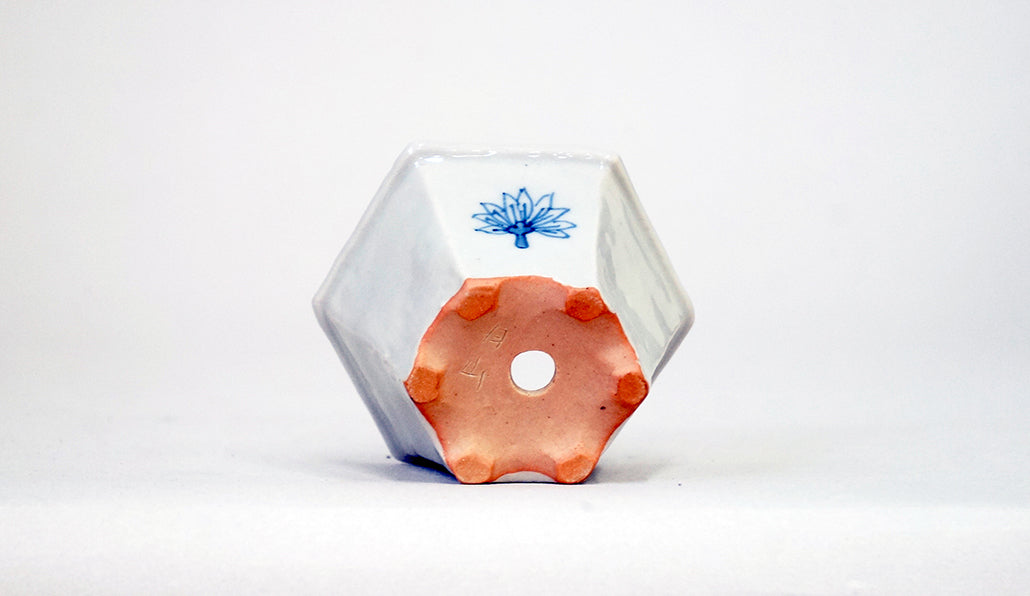 天狗の六角鉢 月山 7cm JG392 (夏のあやあしシリーズ)