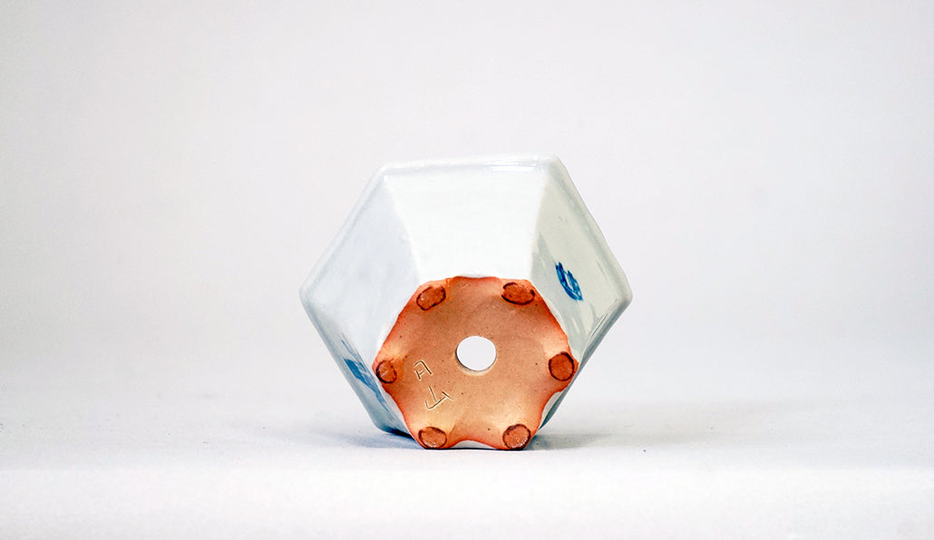 唐傘小僧の六角鉢 月山 7cm JG395 (夏のあやあしシリーズ)
