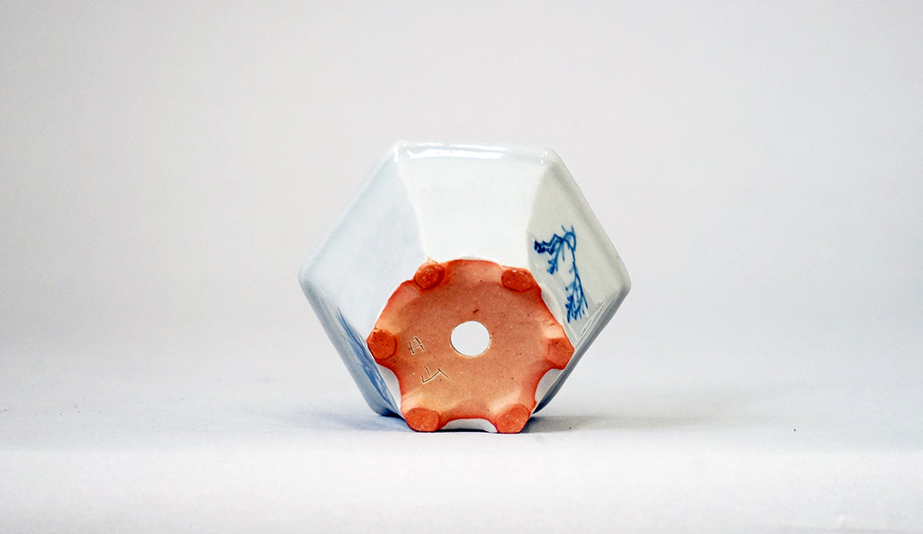 漂う幽霊の鉢 月山 7cm JG404 (夏のあやあしシリーズ)
