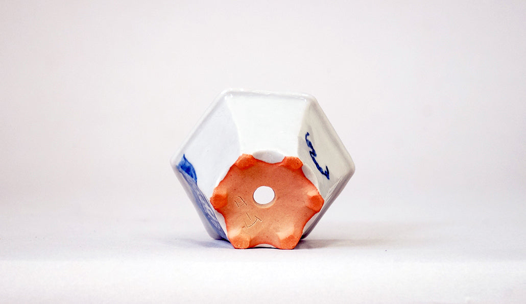 見下ろす小平二の鉢(左向き) 月山 7cm JG406 (夏のあやあしシリーズ)